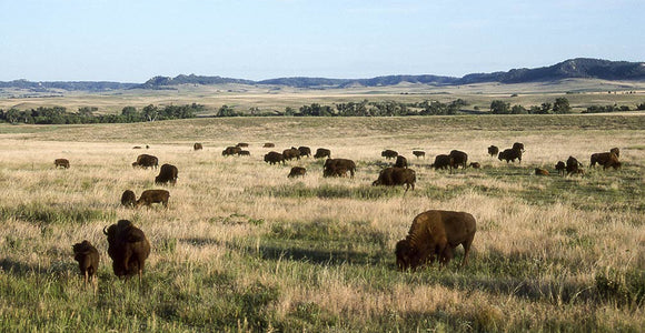 Nebraska