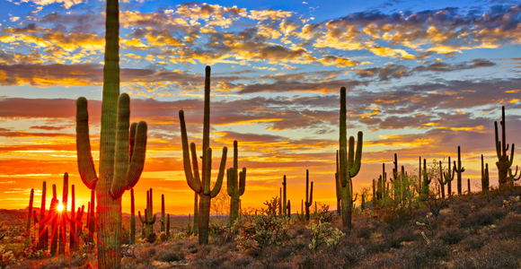 Arizona