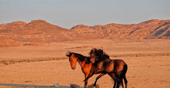 Namibia