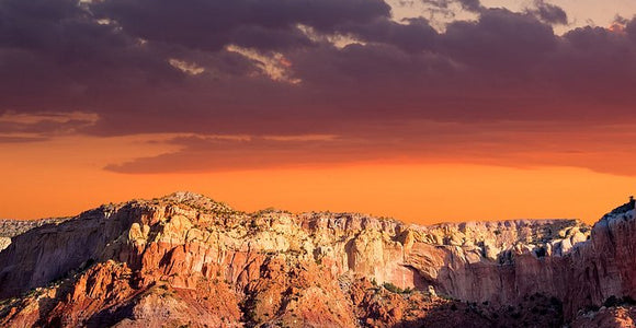 New Mexico