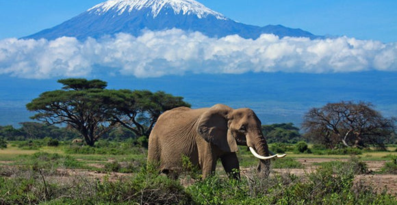 Tanzania