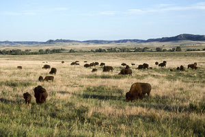NEBRASKA