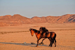 Namibia