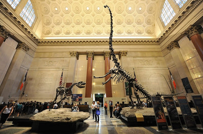 Museums