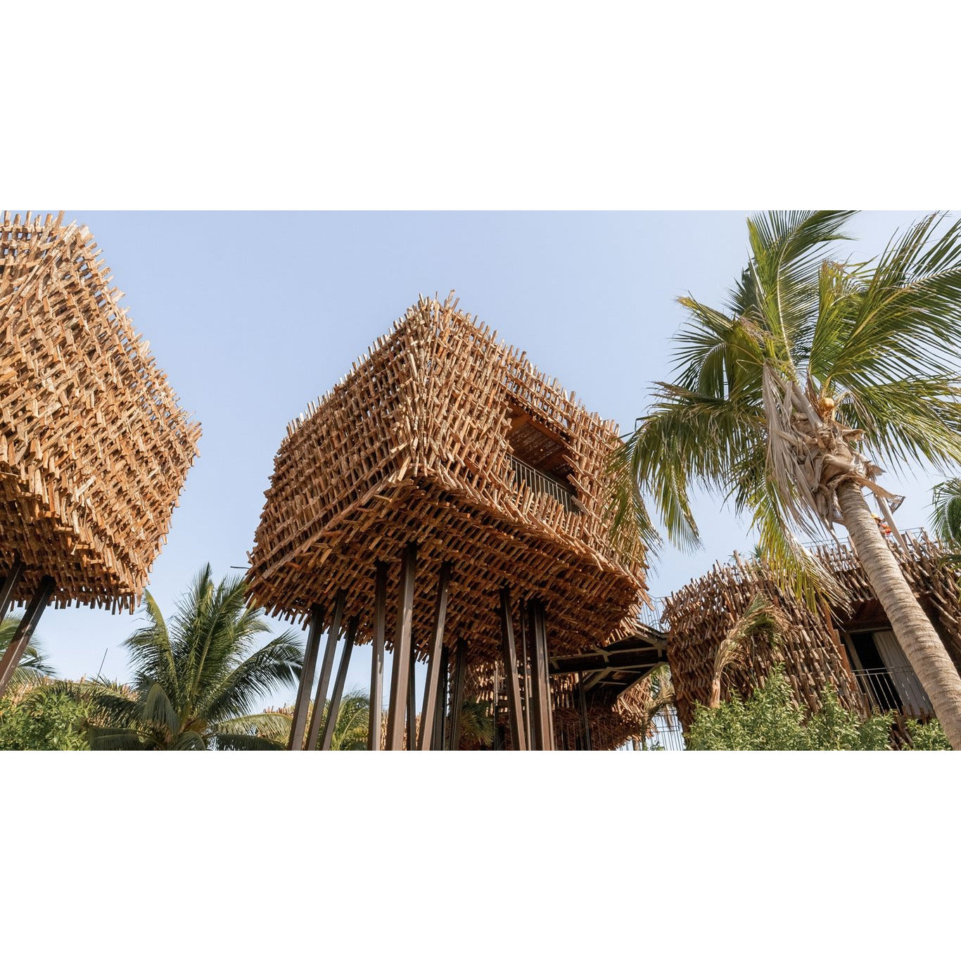 Nomade Holbox