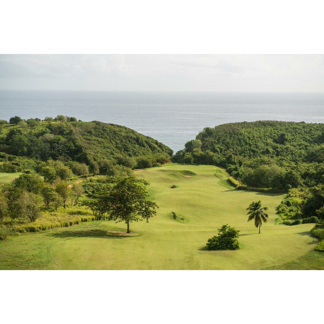Royal Isabela