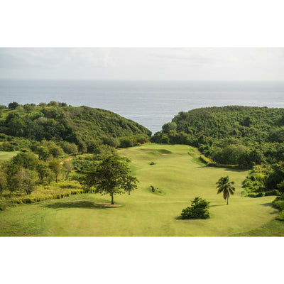 Royal Isabela