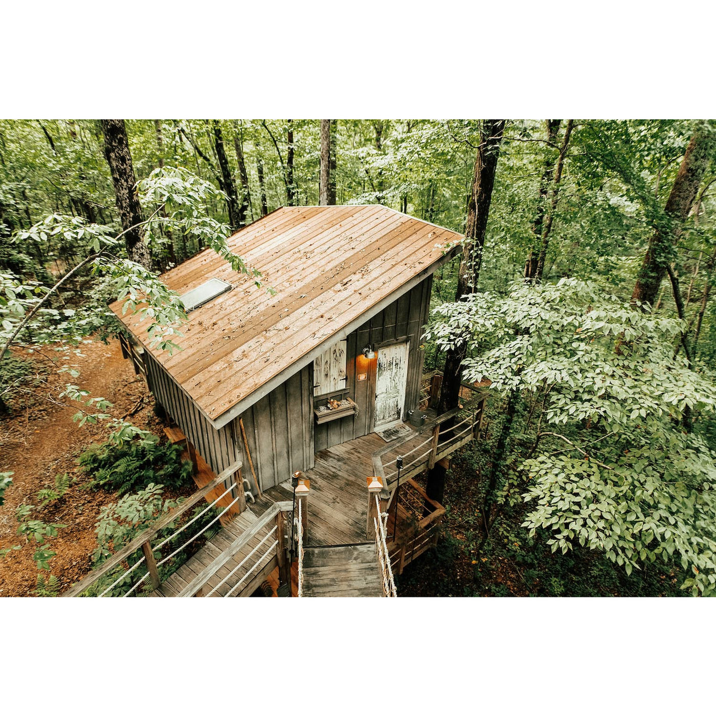 Majestic Treehouse