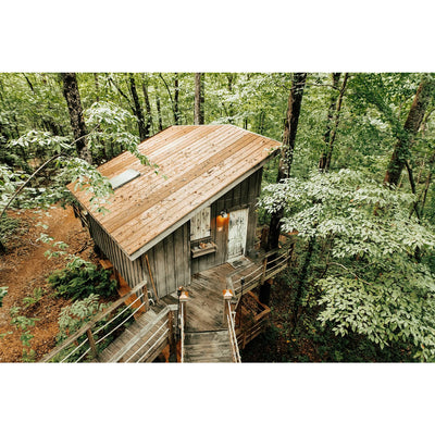 Majestic Treehouse