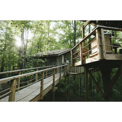 Majestic Treehouse