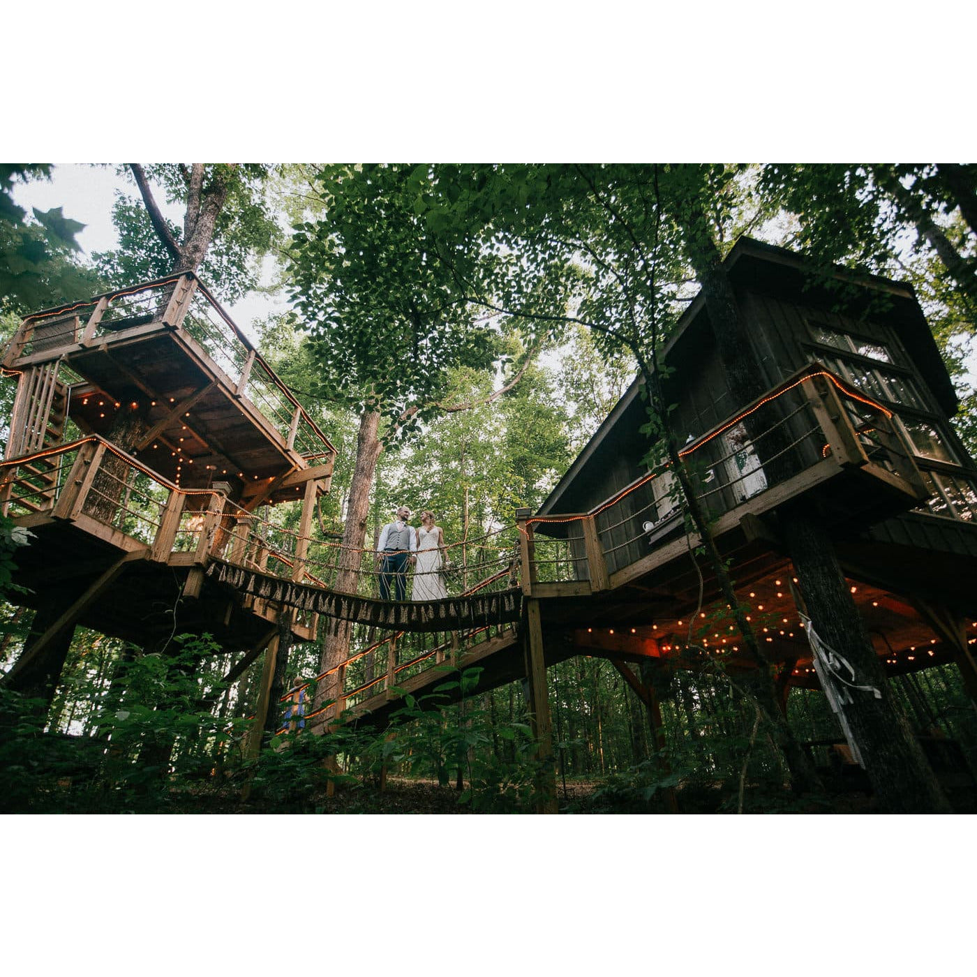 Majestic Treehouse