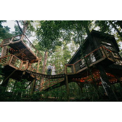 Majestic Treehouse