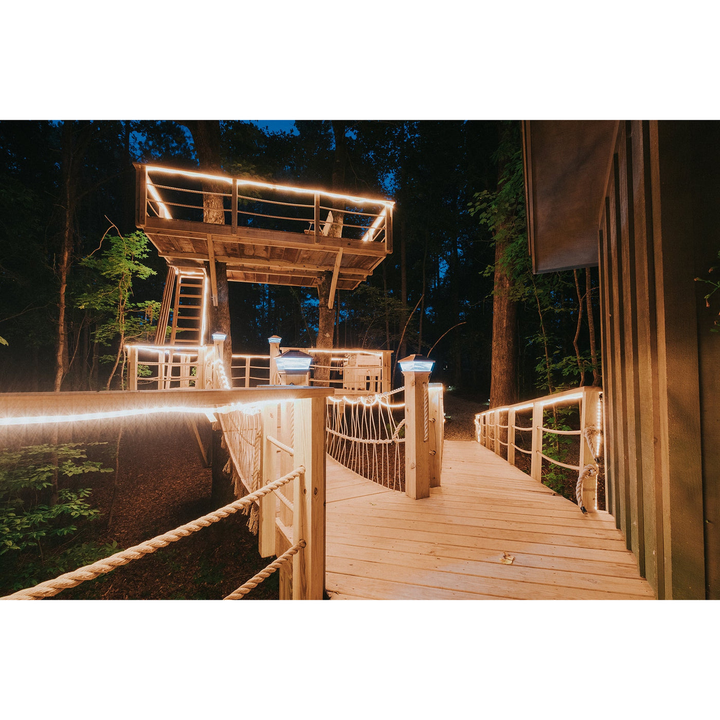 Majestic Treehouse
