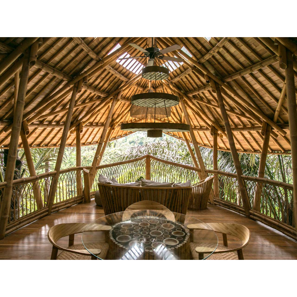 Aura House