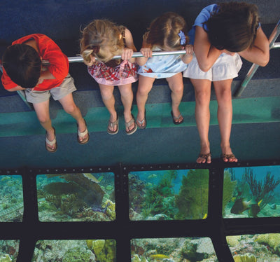 Key West Tour & Dolphin Watch Snorkel