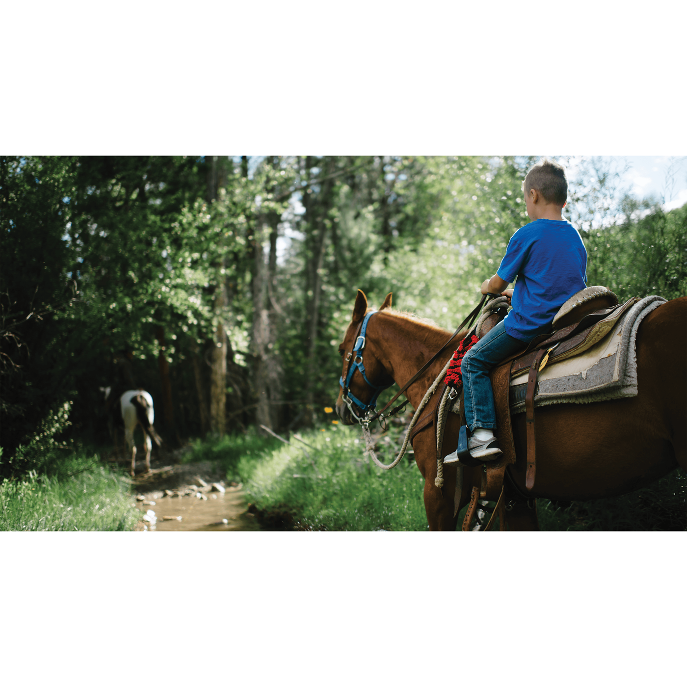 Horseback Trail Ride Adventure