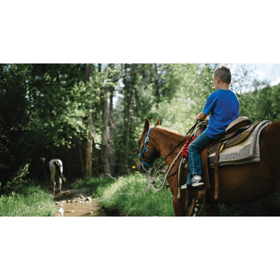 Horseback Trail Ride Adventure