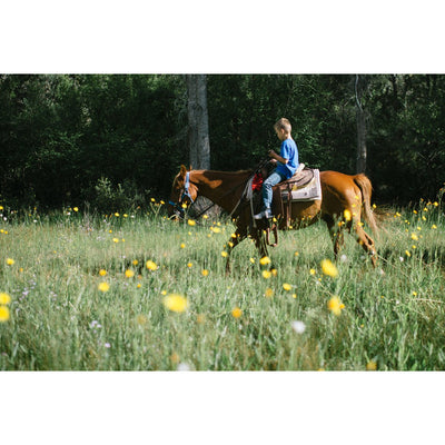 Horseback Trail Ride Adventure
