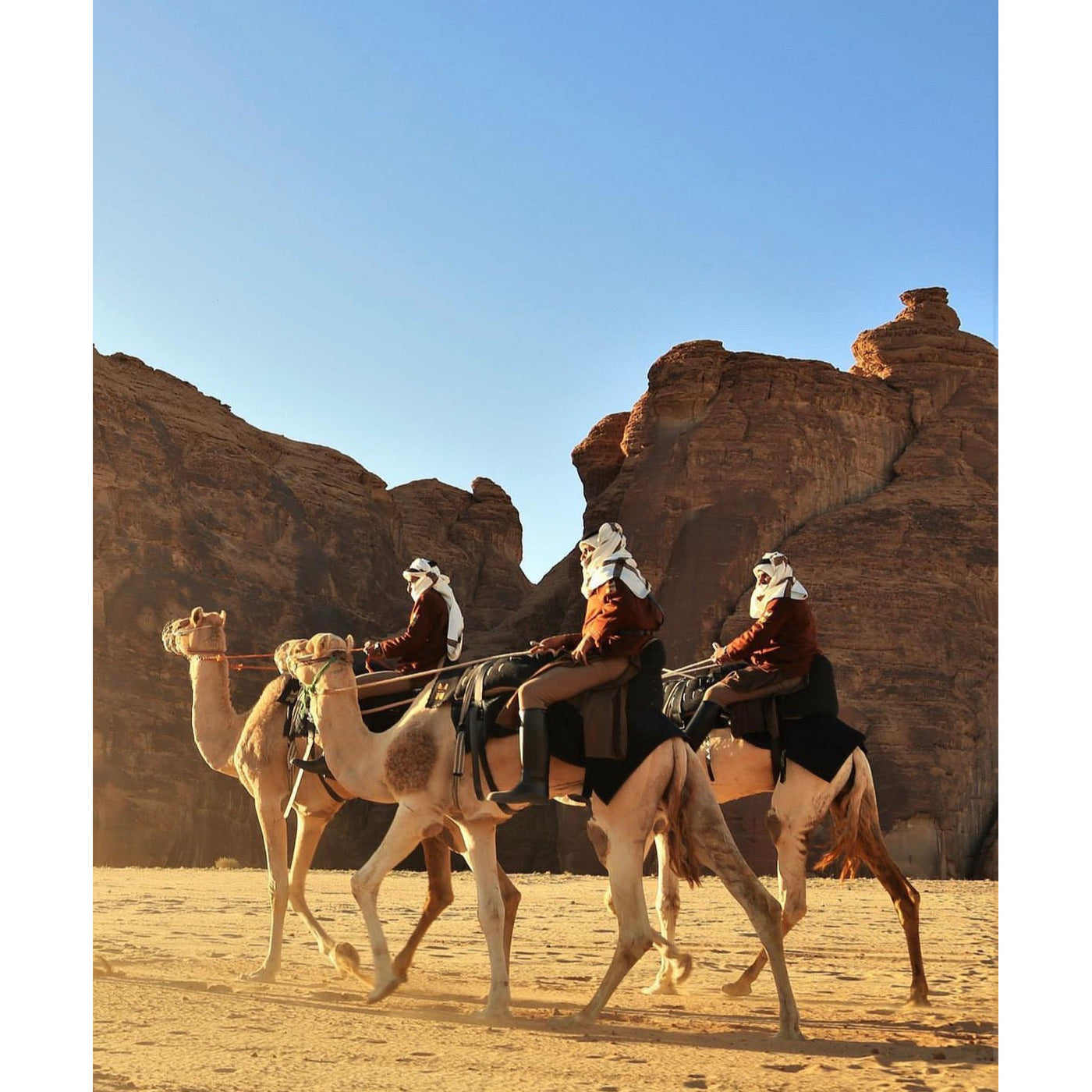 Banyan Tree Alula