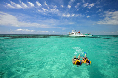 Key West Tour & Dolphin Watch Snorkel