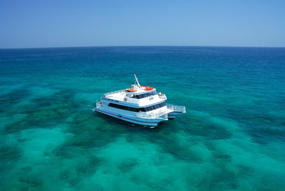 Key West Tour & Dolphin Watch Snorkel