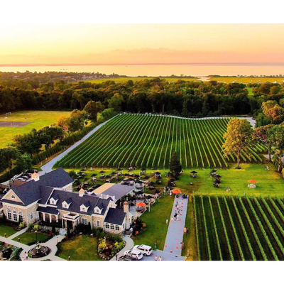 Del Vino Vineyards