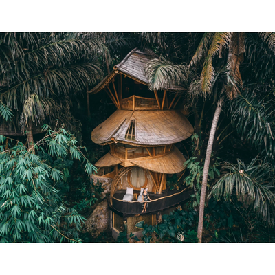 Aura House