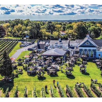 Del Vino Vineyards
