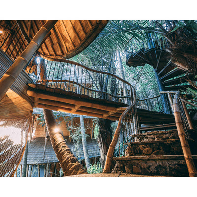 Aura House