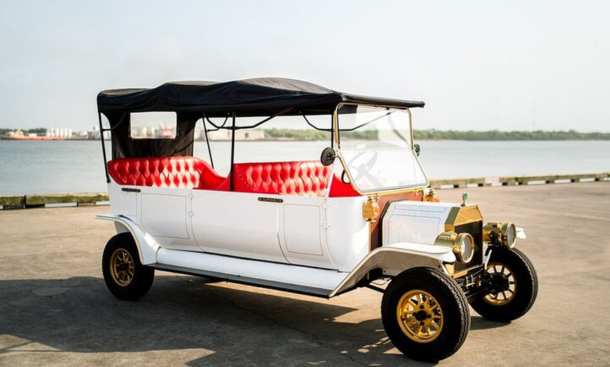 Eight Seater Electric Cart Rental