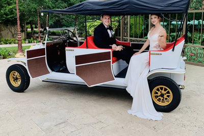 Eight Seater Electric Cart Rental