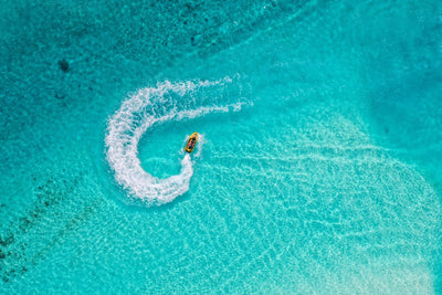 Key West Tour & Dolphin Watch Snorkel
