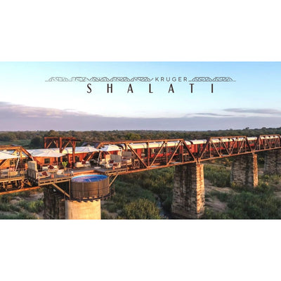 Kruger Shalati - The Train on the Bridge