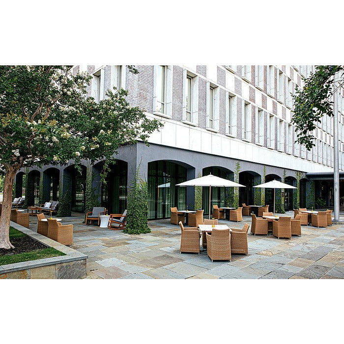 The Dewberry