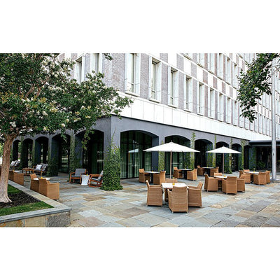 The Dewberry